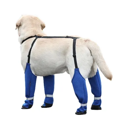 Zdjęcie produktu dla Wodoodporne, ochronne buty dla psów