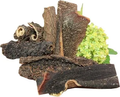 Produktbild von FangGold Rinderpansen 500 g