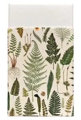 Zdjęcie produktu dla Guma do gumowania (kauczuk) Ferns