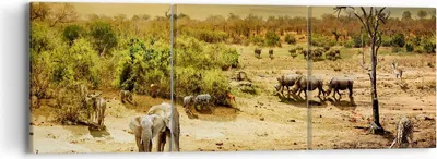 Produktbild von Bild auf Leinwand - Leinwandbild - Safari Tiere - 90x30cm - Wand Bild - Wanddeko - Wandbilder - Leinwanddruck - Bilder - Kunstdruck - Wanddekoration - Leinwand bilder - Wandkunst - CA90x30-3880