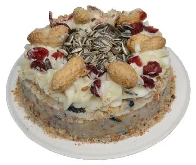 Productafbeelding van Wielink Vogel slagroomtaart met  cranberry