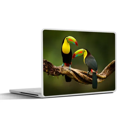 Produktbild von MuchoWow® Laptop Aufkleber Sticker Cover Vögel - Tukan - Zweig - Tiere - Regenbogen 36.5x27.5 cm - Laptop-Sticker