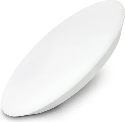 A white, oval-shaped LED ceiling light is shown against a white background.