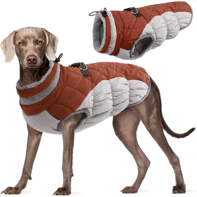 Image de Manteau pour chien, veste d'hiver imperméable, couleur marron, taille XL