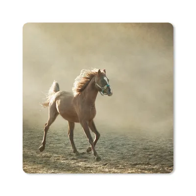 Produktbild von MuchoWow® Mauspad Mousepad Pferd - Sand - Nebel 20x20 cm - Mousepads - Maus Mat - Pad - Mausunterlage - Desk Mat - Bureauartikeln