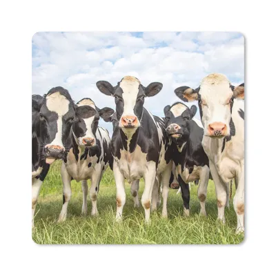 Produktbild von MuchoWow® Mauspad Mousepad Kühe - Weide - Tiere - Natur - Gras 20x20 cm - Mousepads - Maus Mat - Pad - Mausunterlage - Desk Mat - Bureauartikeln