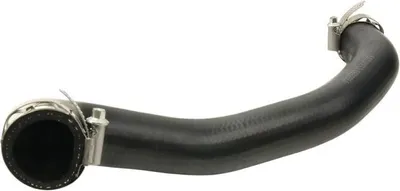 Produktbild von FAST FT65531 Turbo Ladeluftschlauch passend für PEUGEOT 2008 Kombi (CU) 3008 SUV (M) 308 SW II für RENAULT KANGOO (KC0/1) für OPEL GRANDLAND X (A18)