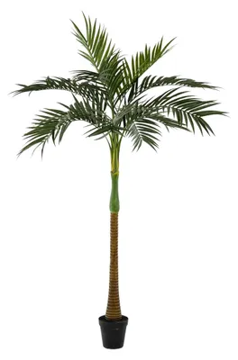 Produktbild von Emerald Künstliche Palme - Zasta | 245 cm, UV-beständig, für draußen, Kunstbaum, wie echt, Allergiker geeignet, pflanzliche Dekoration Praxis, Office & Wohnzimmer