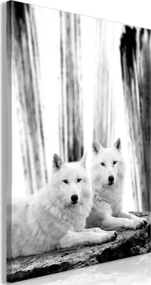 Produktbild von Italienischer Leinwand Leinwandbild - Forest Love (1 Part) Vertical 40x60 cm Tiere g-C-0240-b-a