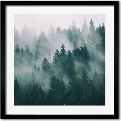 Produktbild von Bild - 50 cm x 50 cm - MDF - Rahmen, Wandkunst - Nebel über dem Wald