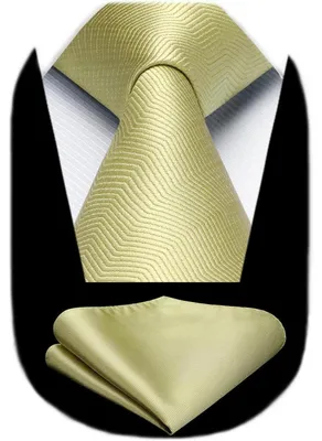 Produktbild von Krawatten-Set mit Einstecktuch Champagner Herren Elegant Business Hochzeit