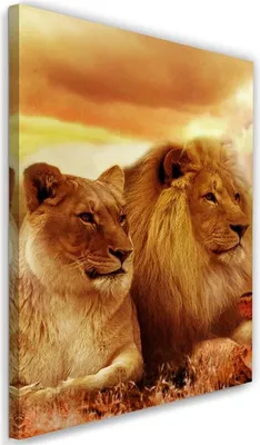 Produktbild von Leinwandbild könig löwe und löwin 60x90 cm Feeby braun wandbild bereit zum aufhängen