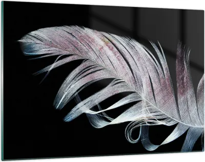 Produktbild von Bilder auf glas - Einteilig - Feder die Farben Zartheit - 120x80cm - Glasbilder - Wandbilder - Bilder - Wanddekoration aus Glas - Glas Bilder - Wandbild auf Glas - GAA120x80-4959