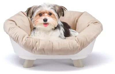 Image de Lit pour chien et chat Ferplast avec coussin, lit pour chien lavable, modèle surélevé pour chien