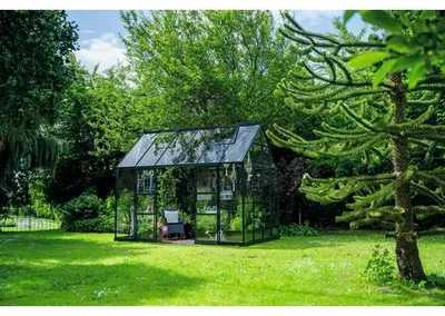 Produktbild von Gewächshaus Halls Icon 8 Planthouse 9,7 m² Sicherheitsglas 3 mm 379,1 x 254,7 cm grün