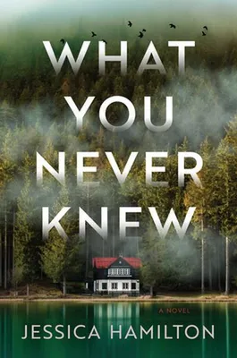 Obrázek produktu pro What You Never Knew