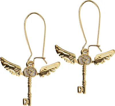 Produktbild von Harry Potter Ohrringe Winged Keys