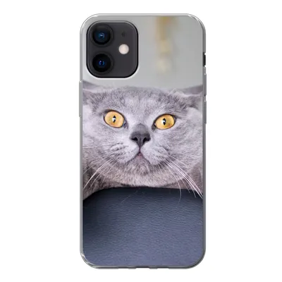 Produktbild von MuchoWow® Handyhülle Schutzhülle Hülle für iPhone 12 Katze - Angst - Stuhl Silikon Softcase Handy Hülle - Schutzhülle