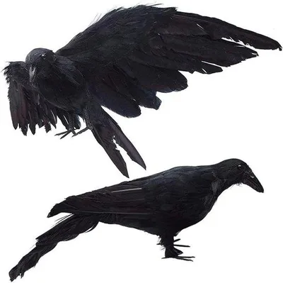 Produktbild von Halloween Kunstvogel-Dekoration - 2 Stück - Schwarz - Wetterfest - 13x55 cm