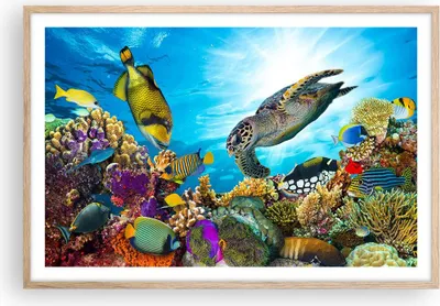 Produktbild von Gerahmtes Poster - Rahmen in heller Eiche - Riff Koralle Fisch - 91,5x61 cm - Wand Bild - Wanddeko - Wandbilder - Wandposter - Bilderrahmen - Bilder - Kunstdruck - Wandbild - P2NAA91x61-3704