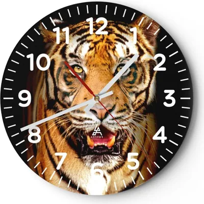 Produktbild von Wanduhr - Rund - Glasuhr - tiger tier - 40x40cm - Schleichendes Uhrwerk - Lautlos - zum Aufhängen bereit - Dekoration Modern - Wanddekoration aus Glas - C4AR40x40-4103