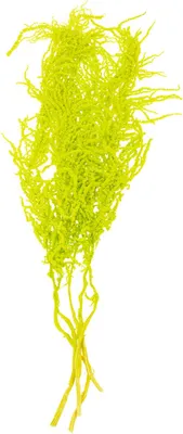 Produktbild von Fuchsschwanz Trockenblumen dekorativ für kreative Wohnraumgestaltung, 5 Stück