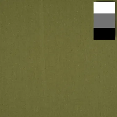 Immagine prodotto di Fondo in tessuto Walimex 2,85x6m, cactus