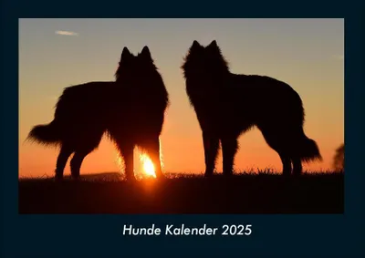 Produktbild von Hunde Kalender 2025 Fotokalender DIN A4
