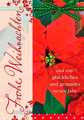Produktbild von Weihnachten  Glückwunschkarte im Format 115 x 17cm mit Umschlag