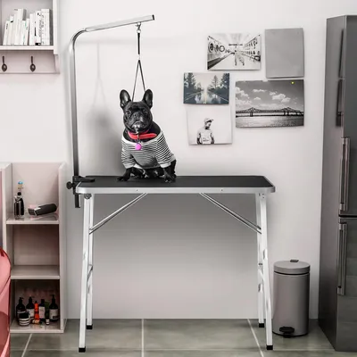 Produktbild von okwish Hundepflegetisch klappbar Schertisch Haustier Trimmtisch Haustierpflegetisch mit Galgen und Aluminiumrahmen,Schwarz Weiß