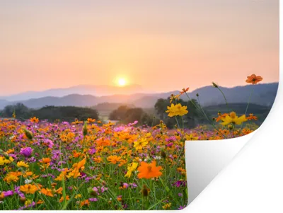 Produktbild von MuchoWow® Wandtattoo Wandsticker Wandaufkleber Blumen - Sonnenuntergang - Berg 160x120 cm Selbstklebend und Repositionierbar - Selbstklebend - Fototapeten
