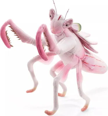 Produktbild von Folkmanis Handpuppe Gottesanbeterin 3236