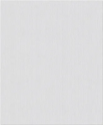 Produktbild von Erfurt Strukturvlies 1004391 Premium 502 10,05x0,53 m