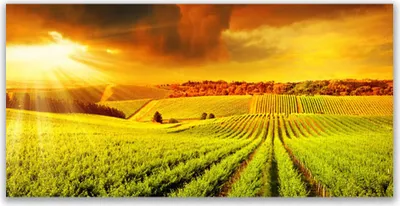 Produktbild von Acrylglasbilder 120x60 Wandbild Druck Feld Acker Sonnenuntergang Landschaft