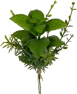Produktbild von Warentuin Producten