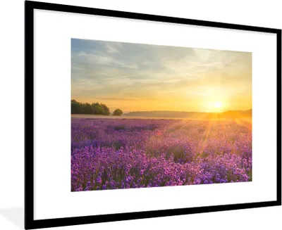 Produktbild von MuchoWow® Gerahmtes Poster Lavendel - Sonnenuntergang - Bäume - Lila 90x60 cm - Poster mit Schwarzem Bilderrahmen Wandposter Rahmen Foto Bilder - Wanddekoration - Fotos
