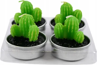 Produktbild von 4er Set Teelichter Kaktus Sukkulenten Deko Kerzen Grün Realistisch Pflanzen Design
