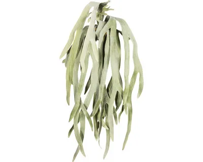 Produktbild von Kunstpflanze Geweihfarnhänger Höhe: 80 cm grün