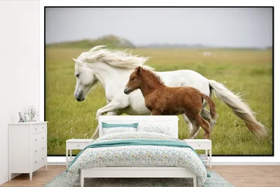 Produktbild von MuchoWow® Fototapete für Wohnzimmer oder Schlafzimmer Wandtapete Vinyl Motivtapete Ein Fohlen trabt mit seiner Mutter - 420x280 cm - Zimmer für Kinder