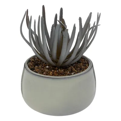 Zdjęcie produktu dla Sztuczny sukulent w doniczce CAF, wys. 18 cm