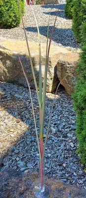 Produktbild von artplants.de Deko Pampasgras SINDRINA auf Steckstab, grün-pink, 115cm - Kunst Pampasgras