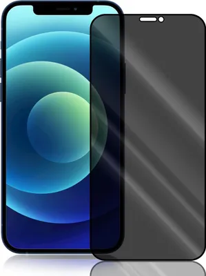 A privacy screen protector is shown on an iPhone 12 mini.