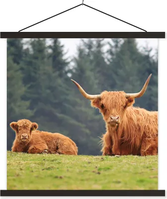 Produktbild von MuchoWow® Textilposter Schottische Hochlandrind - Gras - Wald 120x120 cm mit schwarzem Rahmen - Aufhängungsset