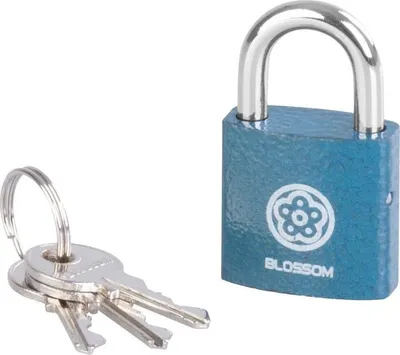 Produktbild von Schloss Blossom BC29 25 mm, Vorhängeschloss, Unique