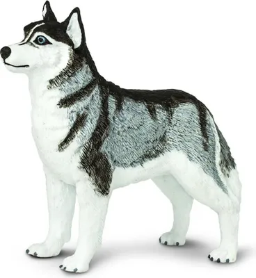 Obrázek produktu pro Safari Ltd Siberian Husky Grey / White One Size
