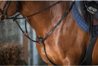 Image de Dyon New English Collection Martingale à anneaux, taille : demi-sang, couleur : noir