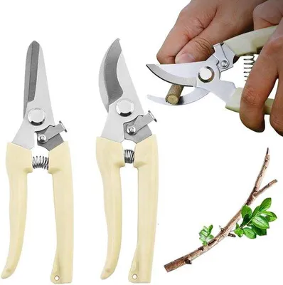 Produktbild von Präzise Gartenschere 2-teilig für Pflanzen, Edelstahl