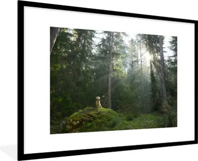 Produktbild von MuchoWow® MuchoWow® Gerahmtes Poster Hund - Wald - Fels 90x60 cm - Poster mit zchwarzem Bilderrahmen - Wanddekoration - Fotos