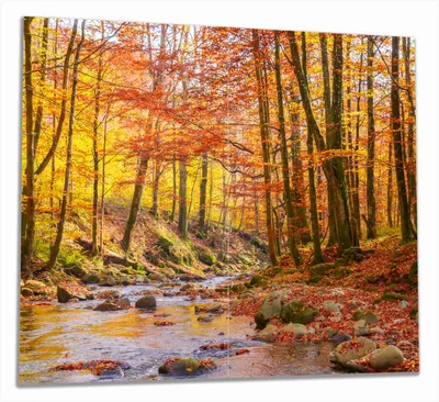 Produktbild von Wallario Herdabdeckplatte aus Glas, Größe 60 x 52 cm 2-teilig, Motiv Herbstwald mit Bach