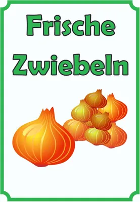 Produktbild von Verkaufsschild Schild Zwiebeln Hochkant A5 (148x210mm)
